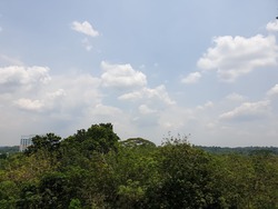 Eco Sanctuary (D23), Condominium #182294792